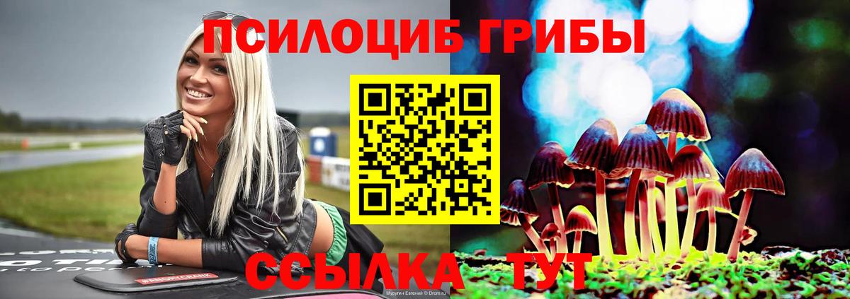 Галлюциногенные грибы Psilocybine cubensis  Вход с VPN  Псилоцибиновые грибы Magic Shrooms  Великий Устюг 