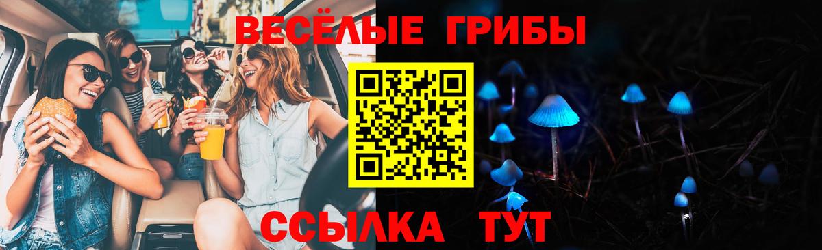 Псилоцибиновые грибы Magic Shrooms Великий Устюг